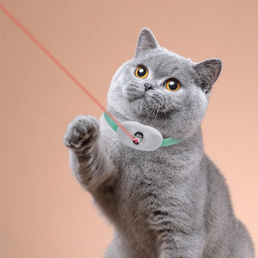 PawChaser™ Laser Collar