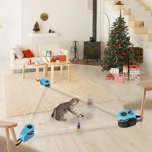 ZoomWhirl™ Cat Treadmill