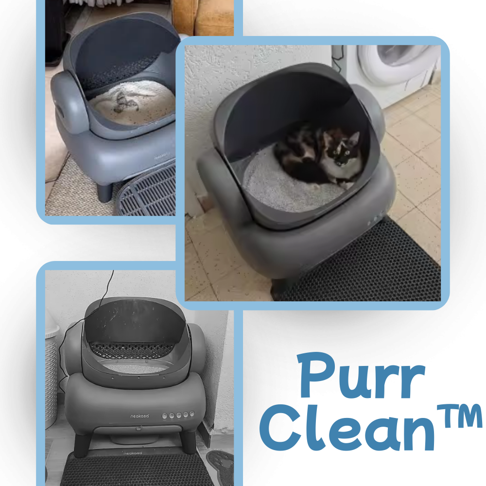 PurrClean™ Self-Cleaning Toilet