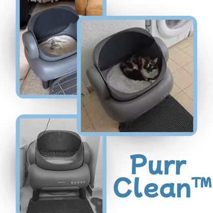 PurrClean™ Self-Cleaning Toilet